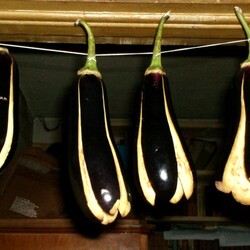 Сушеные баклажаны или как сделать лечебную заготовку на зиму