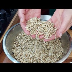 Я и подумать не могла, что это так вкусно! Научилась правильно готовить плов из перловки!