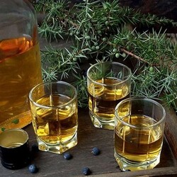 Можжевеловая настойка — 5 проверенных рецептов от опытного самогонщика