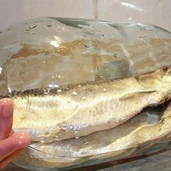 Сельдь Больше не покупаю магазинную соленую селедку. Этот рецепт засолки селедки самый вкусный