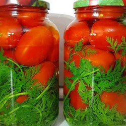 Помидоры с морковной ботвой (см ссылку в заметке)