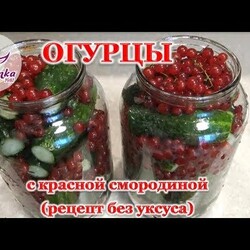 ОГУРЦЫ с КРАСНОЙ СМОРОДИНОЙ. Маринуем огурцы БЕЗ УКСУСА. Простой и полезный рецепт