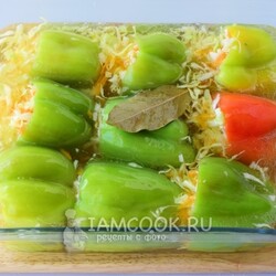 Маринованный болгарский перец фаршированный капустой в холодильник