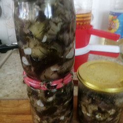 Маринованные баклажаны с чесноком и укропом на зиму