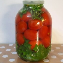 Помидоры соленые газированный в банке быстрого засола в комнате Сделать именно эти!