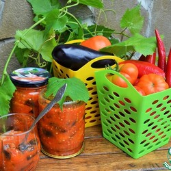 Баклажаны "Грезы дракона" на зиму