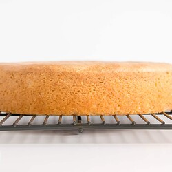 Ровные коржи