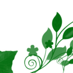 Коржики молочные школьные (советские) и домашние.