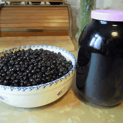 Не дайте ягоде пропасть: как настаивать собранные ягоды, чтобы получить незабываемые напитки — мои рецепты