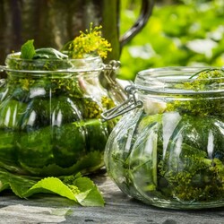 Рецепты малосольных огурцов от Шефмаркет