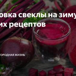 Заготовка свеклы на зиму: 5 лучших рецептов