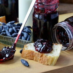 Заготовки на зиму из жимолости - 5 лучших домашних рецептов