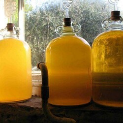 Куда деть яблоки, если жалко выкидывать: лучше сделайте сидр — рецепт простейший, результат вкуснейший