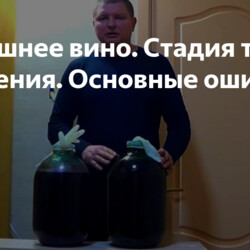 Домашнее вино. Стадия тихого брожения. Основные ошибки