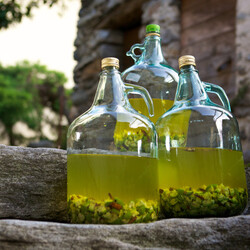 Вино из крыжовника в домашних условиях простой рецепт. Как приготовить вкусное домашнее вино из черного, красного и зеленого крыжовника с дрожжами и без дрожжей?