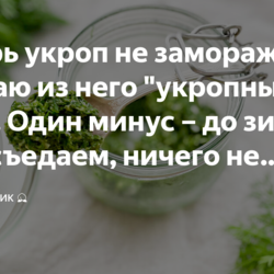 Теперь укроп не замораживаю, а делаю из него "укропный соус". Один минус – до зимы весь съедаем, ничего не остается!