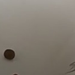 Настой.на черносливе-пряный