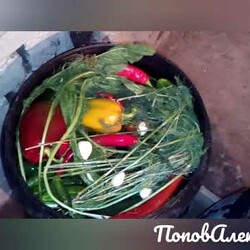 Засолка огурцов с перцем в бочке