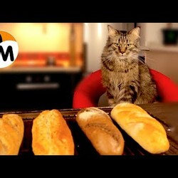 3 способа БАГЕТА