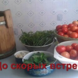 Соленья овощей на зиму