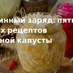 Квашенная капуста пять рецептов ее приготовления