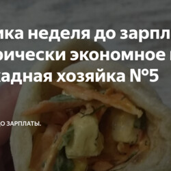 Рубрика неделя до зарплаты. Истерически экономное меню или жадная хозяйка №5