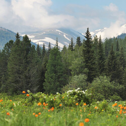 Рассказы о жизни, своей и чужой, | Яндекс Дзен