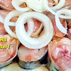 Скумбрия пряная. Сухой посол.