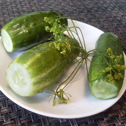 Малосольные огурцы - Пошаговый рецепт с фото |  Консервирование