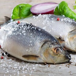 «Кто на солененькое?»: как вкусно и просто засолить сельдь в домашних условиях / 14 рецептов приготовления рыбы