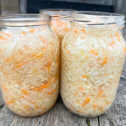 "Быстрая"  капуста