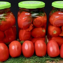 Помидоры соленые в квартире
