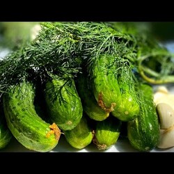 Малосольные огурцы в пакете с чесноком и укропом, быстрый рецепт огурцов, хрустящие НОВЫЙ ВКУС.