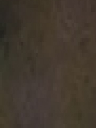 Домашние Голубчикы