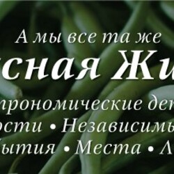 Венский яблочный штрудель по правильному рецепту — TastyLife Mag / Вкусная Жизнь — Читать журнал-онлайн. Афиша Нижнего Новгорода. Кулинарные мастер-классы.