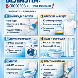 Швы между плиткой, тюль, унитаз_ГОРНИЧНАЯ
