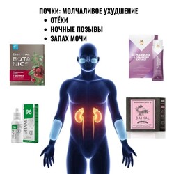 Помощь почкам_СИБИРСКОЕ ЗДОРОВЬЕ