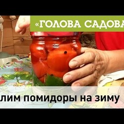 Солим помидоры на зиму