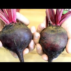 Закуска из свеклы и баклажанов .