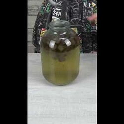 КВАС. ВКУСНЕЕ магазинного!