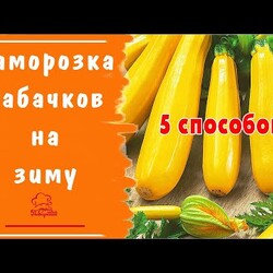 5 способов заморозить кабачки на зиму в морозильной камере для жарки, на оладьи, для рагу и супа