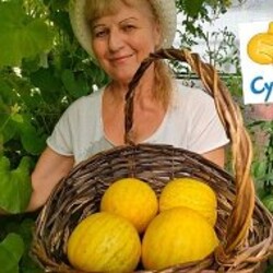 Сочные котлеты из индейки / курицы