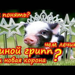 Как и чем лечить грипп и ковид сегодня дома