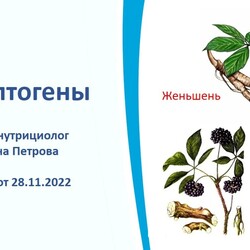 Адаптогены