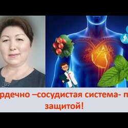 Сердечно сосудистая система   под защитой
