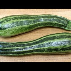 ЗАКУСКА из кабачков