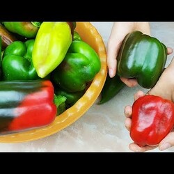 ПЕРЕЦ ЗИМОЙ больше НЕ ПОКУПАЮ! 5 Супер способов Хранения БОЛГАРСКОГО ПЕРЦА КРУГЛЫЙ ГОД