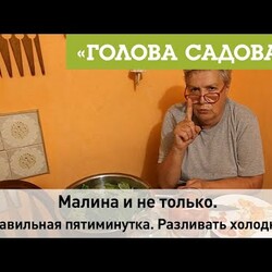 Пятиминутка из малины