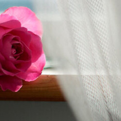 Как отбелить тюль: 5 простых советов