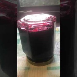 Живая черная смородина на зиму  Лучшая заготовка смородины